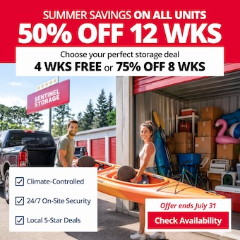 Sentinel Storage - self serve Promotion